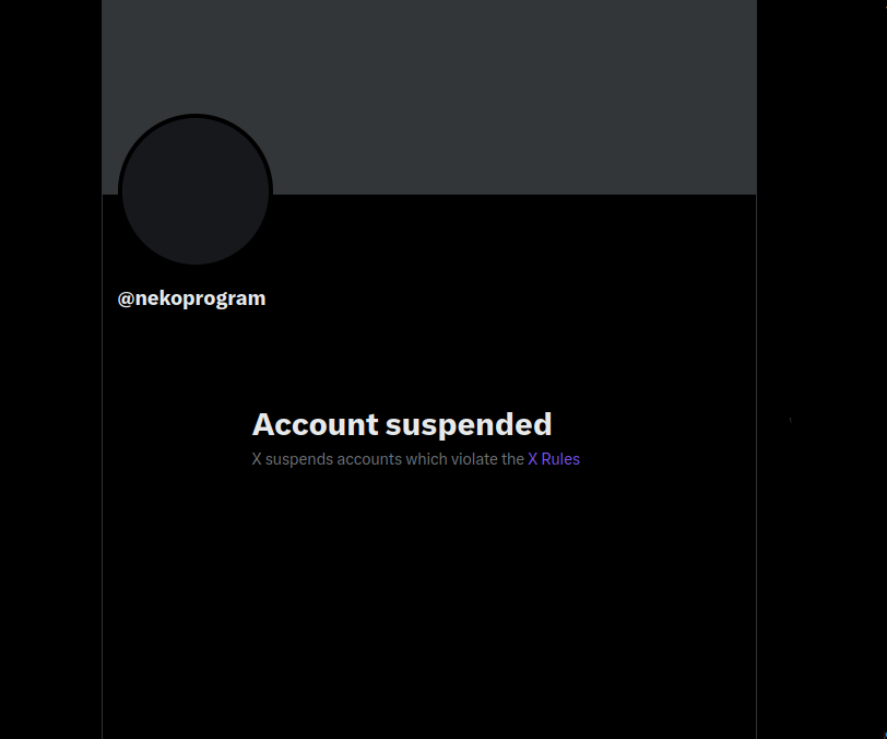 My previous twitter or X Account suspended